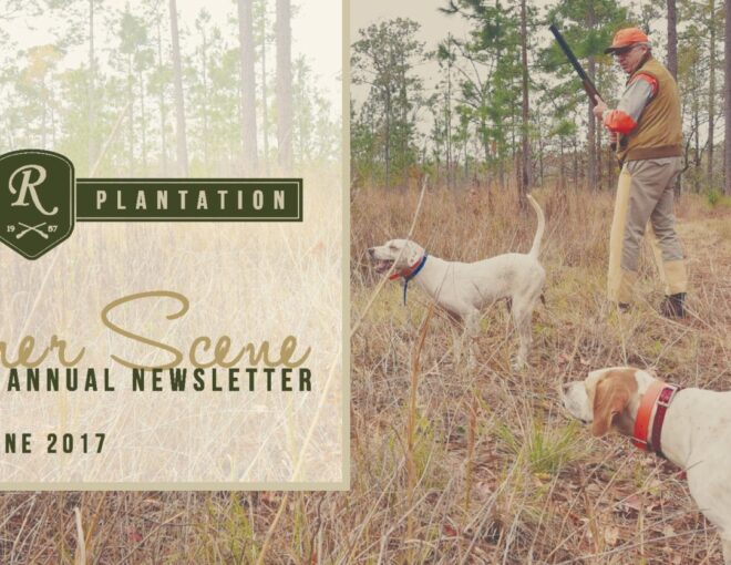Riverview Plantation Summer Scene The Riverview Annual Newsletter June 2017