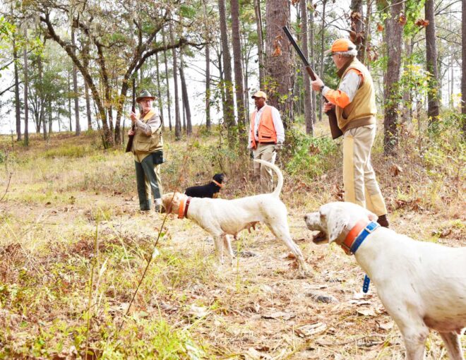 three dogs and men hunting