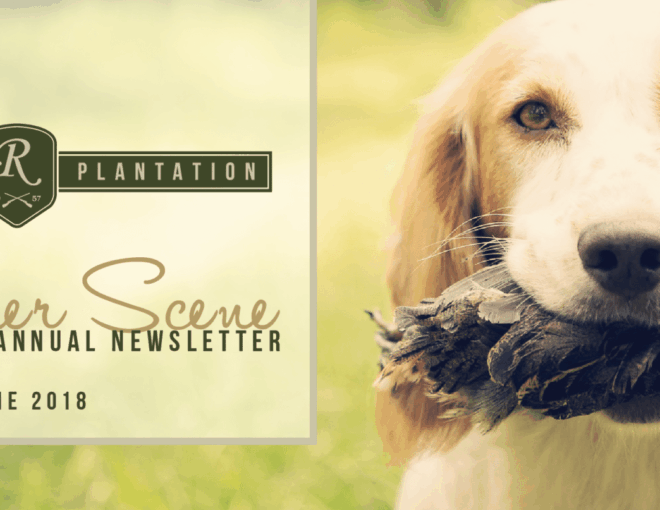 Riverview Plantation Summer Scene The Riverview Annual Newsletter June 2018