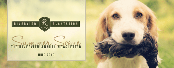 Riverview Plantation Summer Scene The Riverview Annual Newsletter June 2019