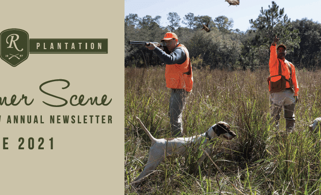 Riverview Plantation Summer Scene The Riverview Annual Newsletter June 2021