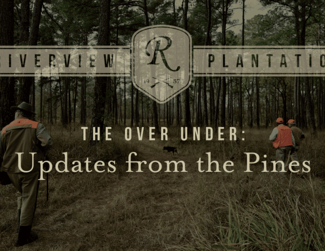 The Over Under: Updates from the Pines blog image