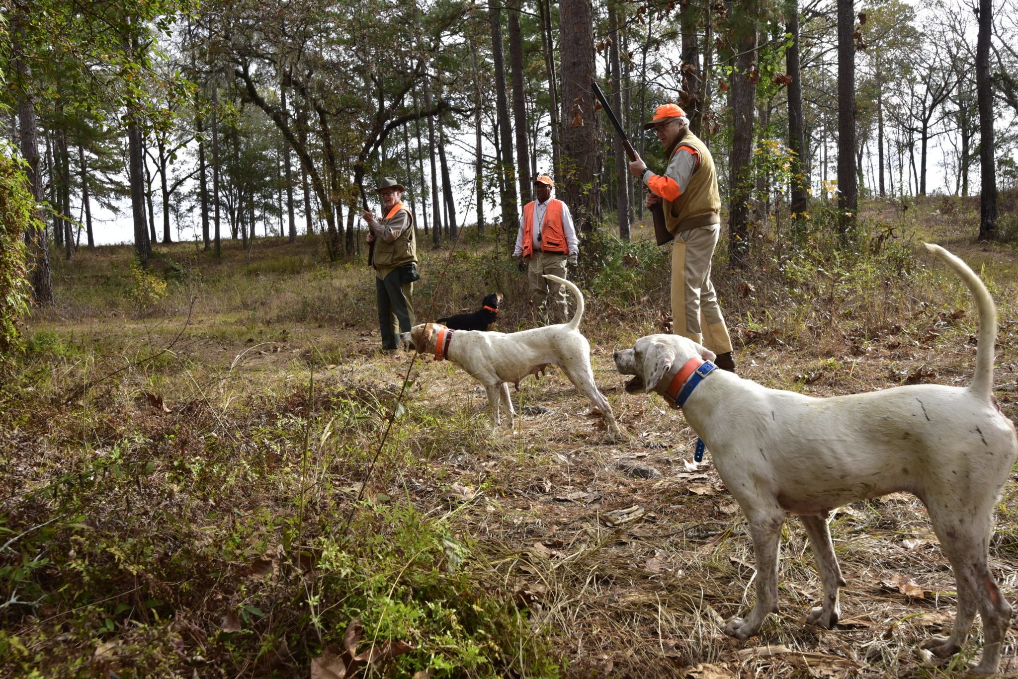 three dogs and three hunters
