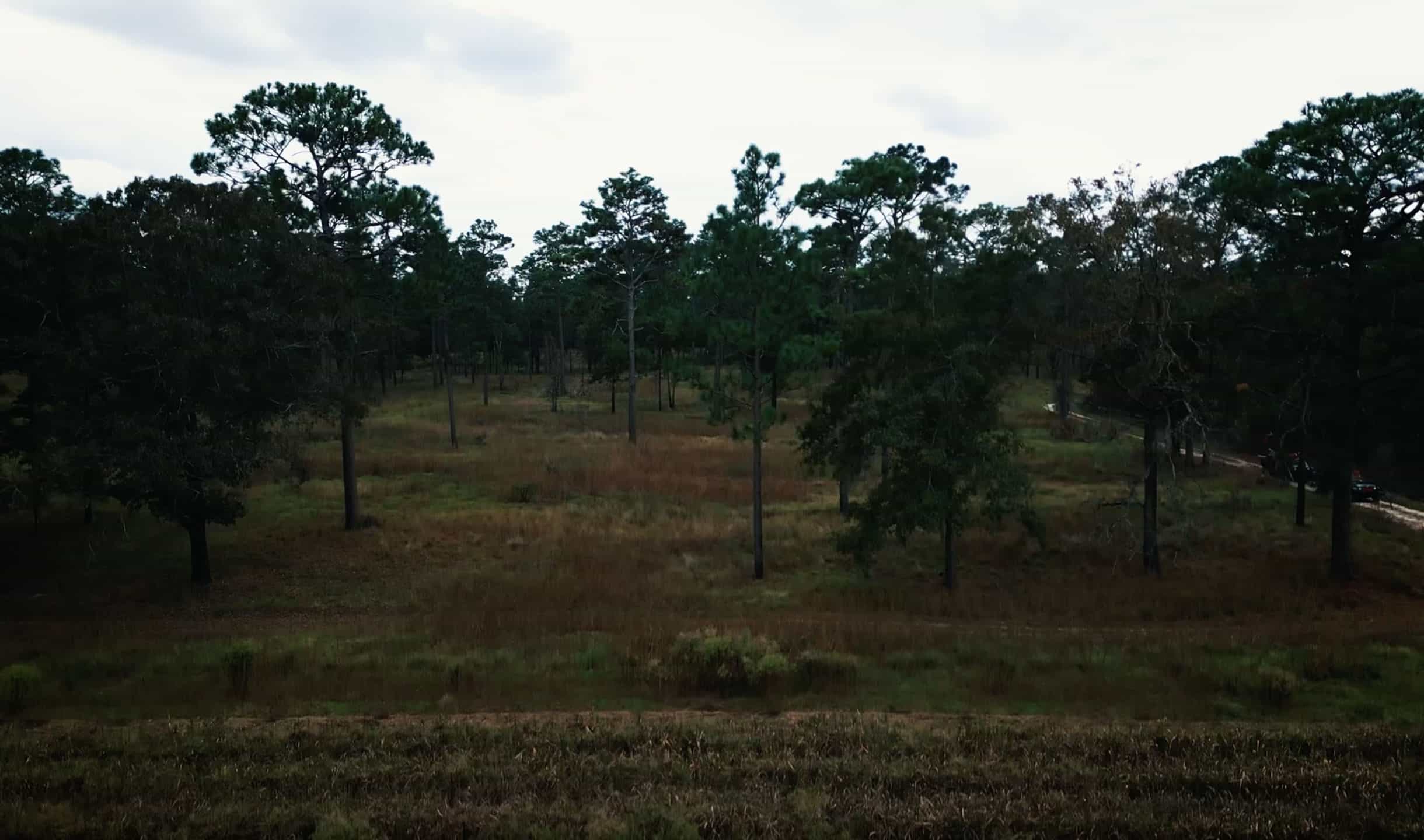 overhead view of the hunting grounds at Riverview Plantation