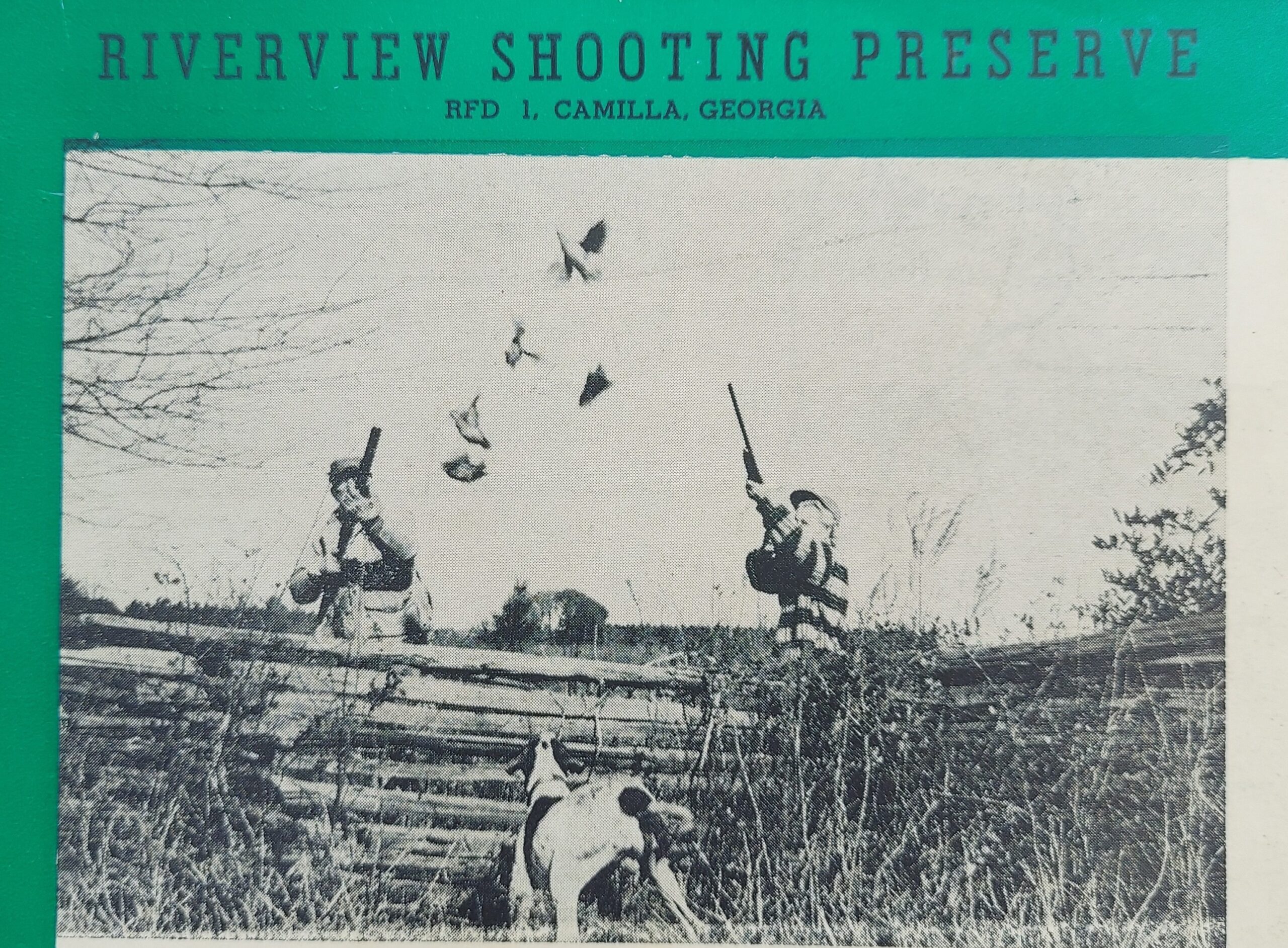 Old Riverview Shooting Preserve image